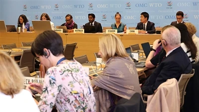 WTO los tshuaj xyuas US Tax Credits Raws Li Txoj Cai txo nqi nce nqi raws li ...